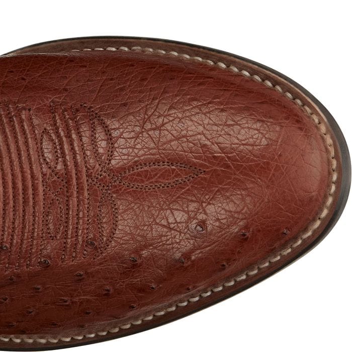 TONY LAMA Boots Tony Lama Men's Brandy Tiberius Smooth Ostrich Exotic Boots O6081