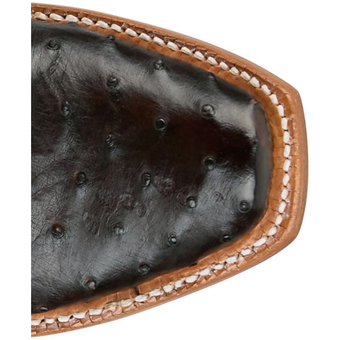 TONY LAMA Boots Tony Lama Women's Chocolate Brown Zaire Full Quill Ostrich Exotic Boots SA6114