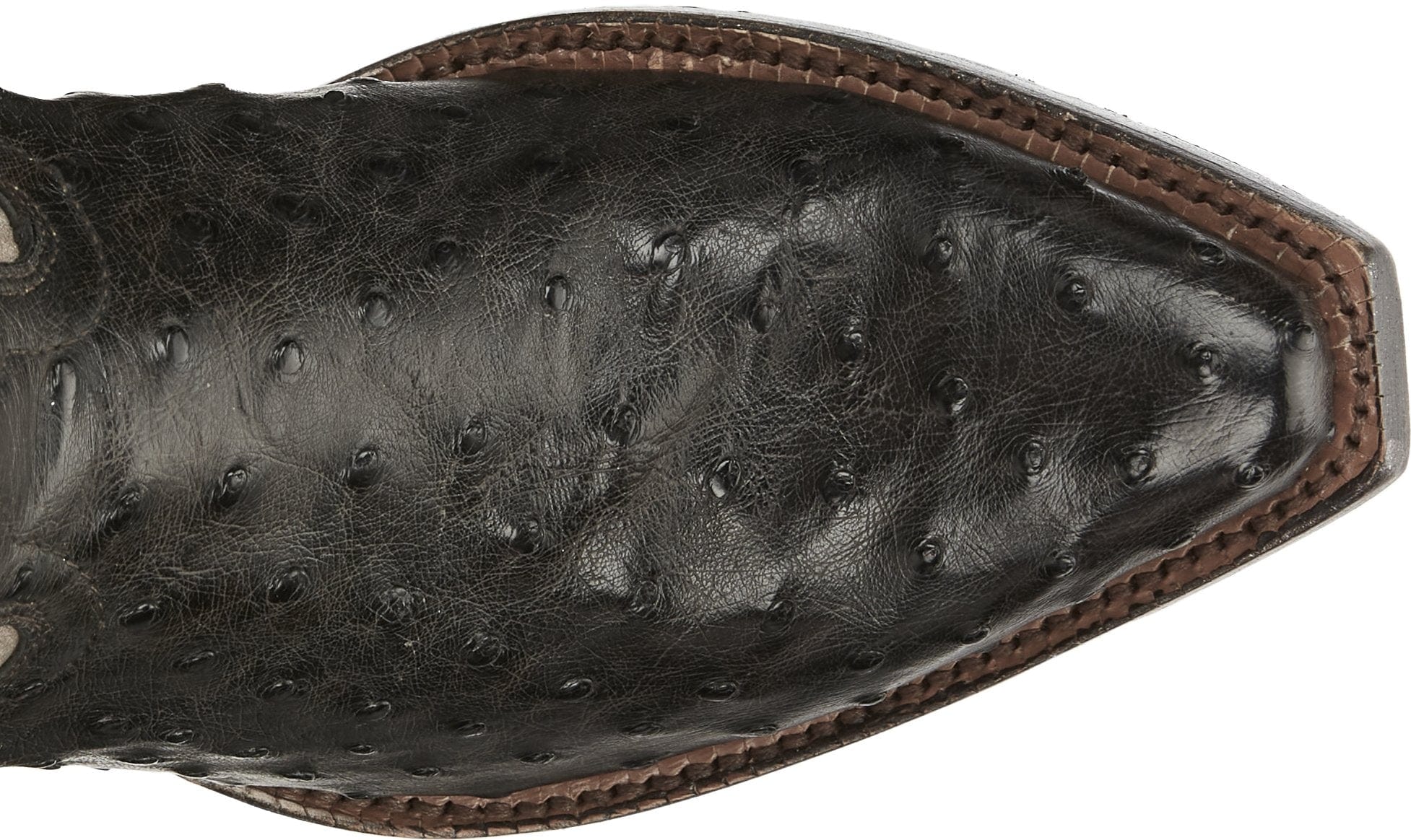 TONY LAMA Boots Tony Lama Women's Vaqueras Ines Full Quill Ostrich Mink Boot - VF3055