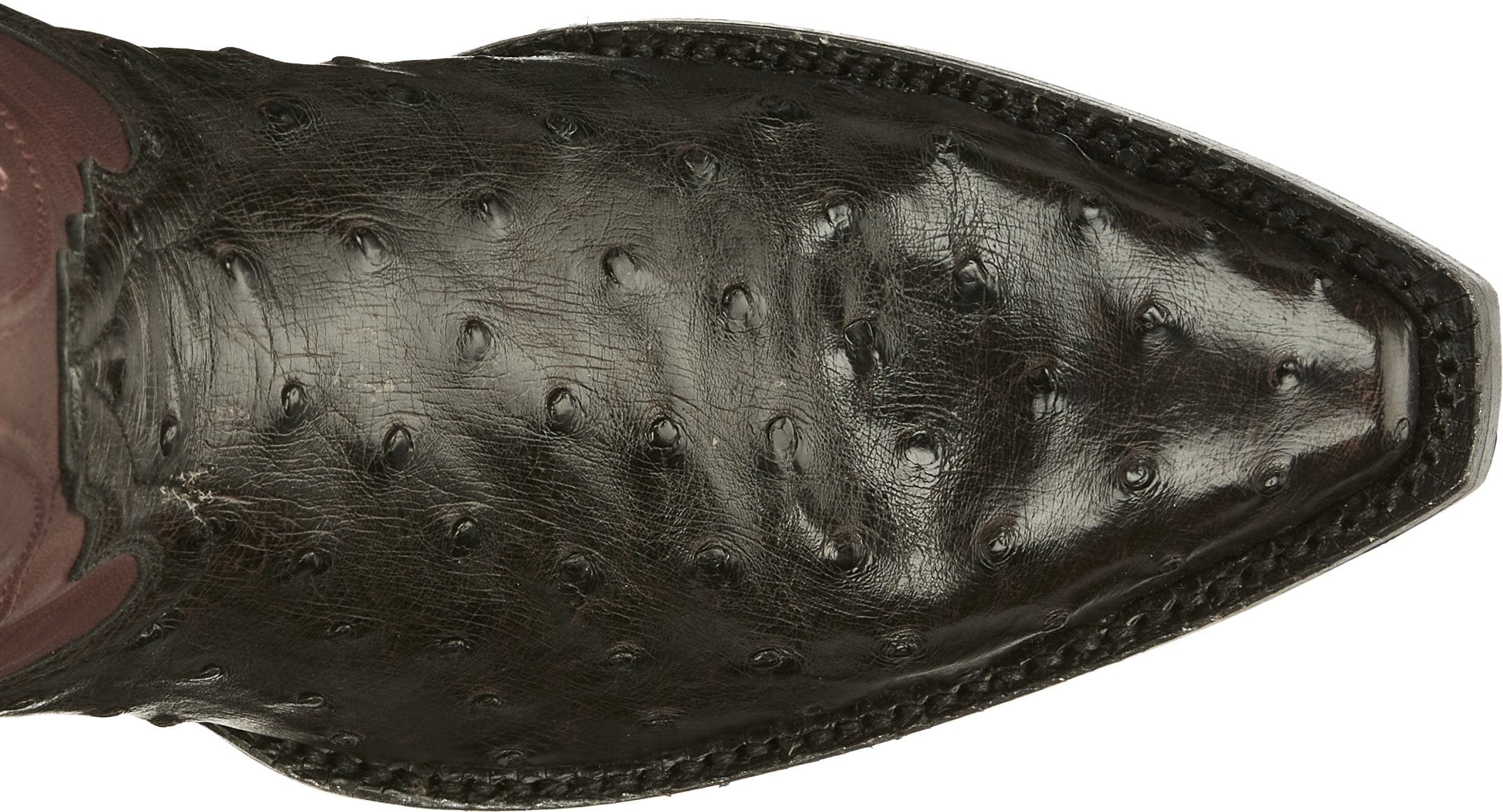 TONY LAMA Boots Tony Lama Women's Vasqueras Ines Full Quill Ostrich Black Cherry Narrow Square Western Boot - VF3056