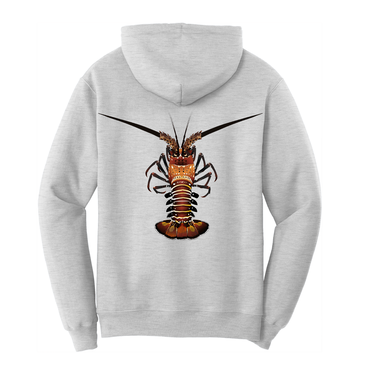 Saltwater Born Cotton Hoodie S / ASH Florida Keys Realistic Lobster Cotton Hoodie